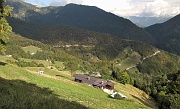 50 Verso Ornica...